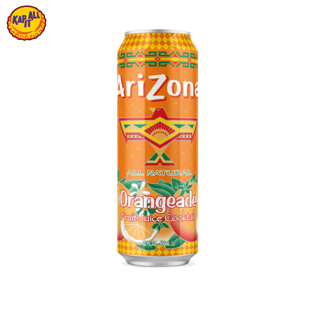ARIZONA ORANGEADE FRUIT JUICE COCKTAIL 650ml